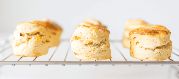 White Chocolate, Apricot, and Ginger Scones
