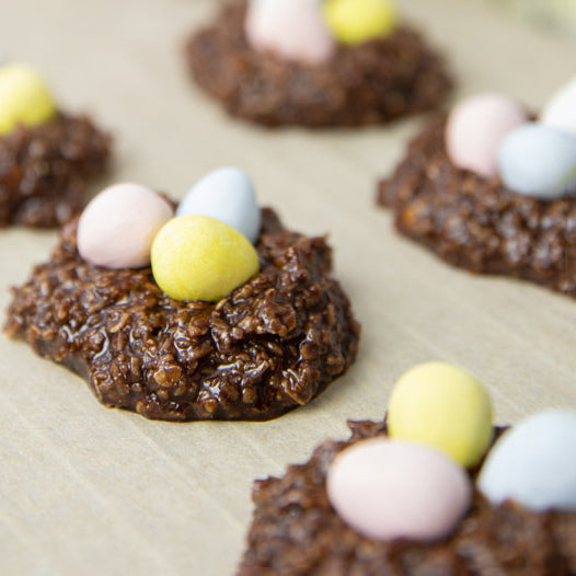 Chocolate Coconut Bird Nests